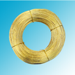 世界怎么了？黃銅圓線得多讀書多看報(bào)了